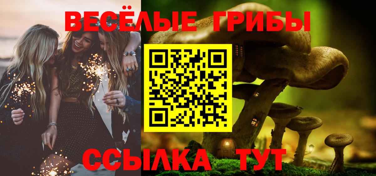 Галлюциногенные грибы мухоморы Рубцовск